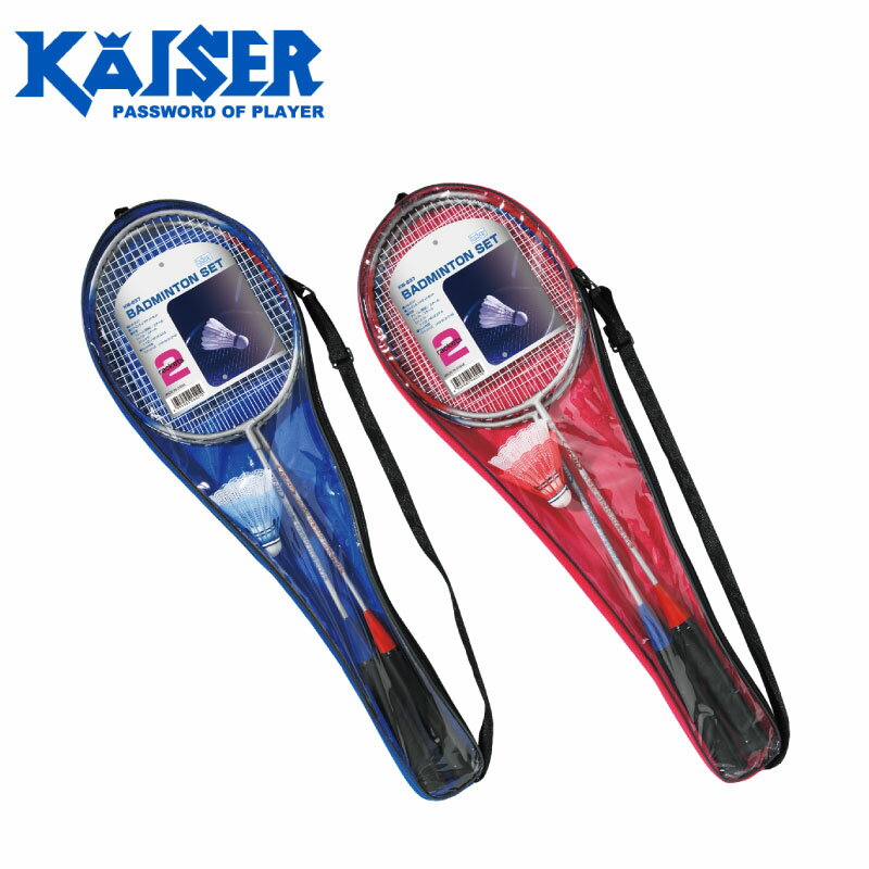 楽天市場】ヨネックス ヨネックス｜YONEX アストロクス100ZZ