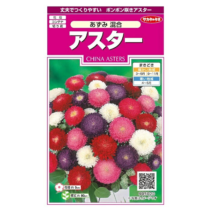 サカタのタネ｜SAKATA SEED CORPORATION 実咲 アスター あずみ混合 905020