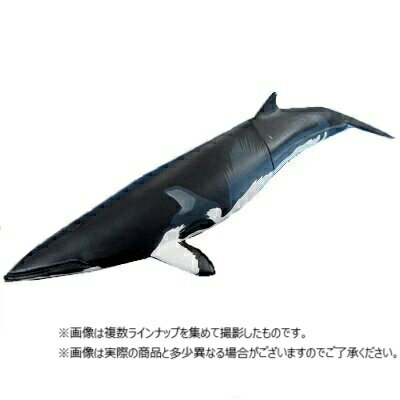楽天市場】海洋堂 カプセルQミュージアム 恐竜発掘記 プレシオサウルス