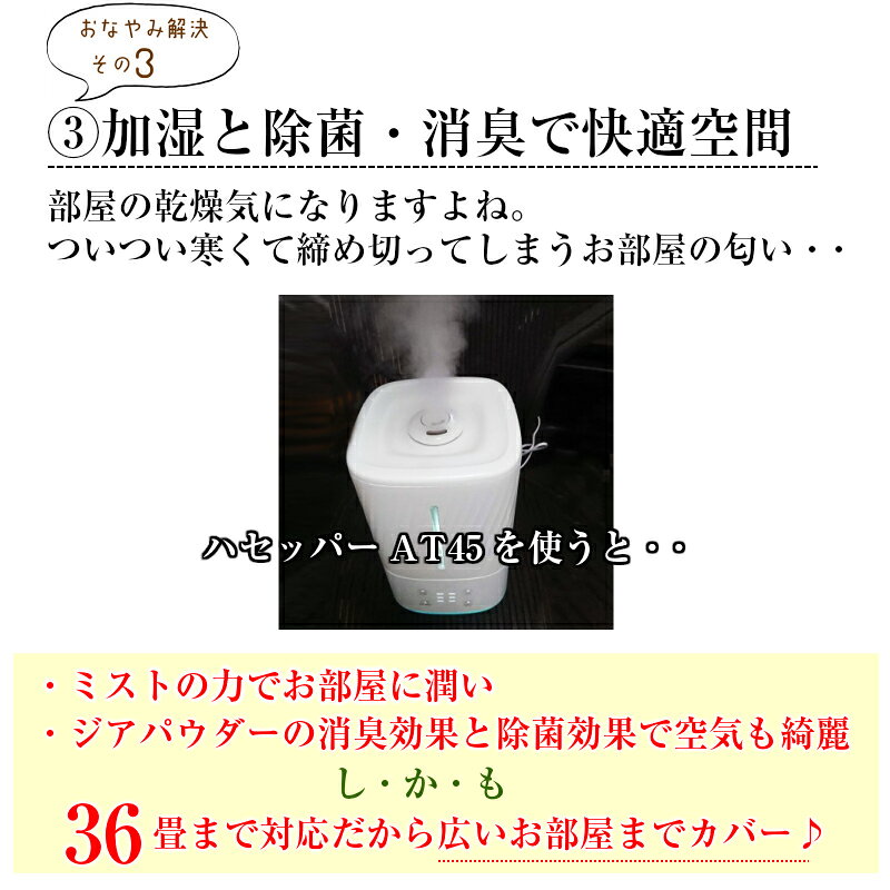 楽天市場】ノウェム国際 次亜塩素酸噴霧器 ハセッパー AT45 36畳対応
