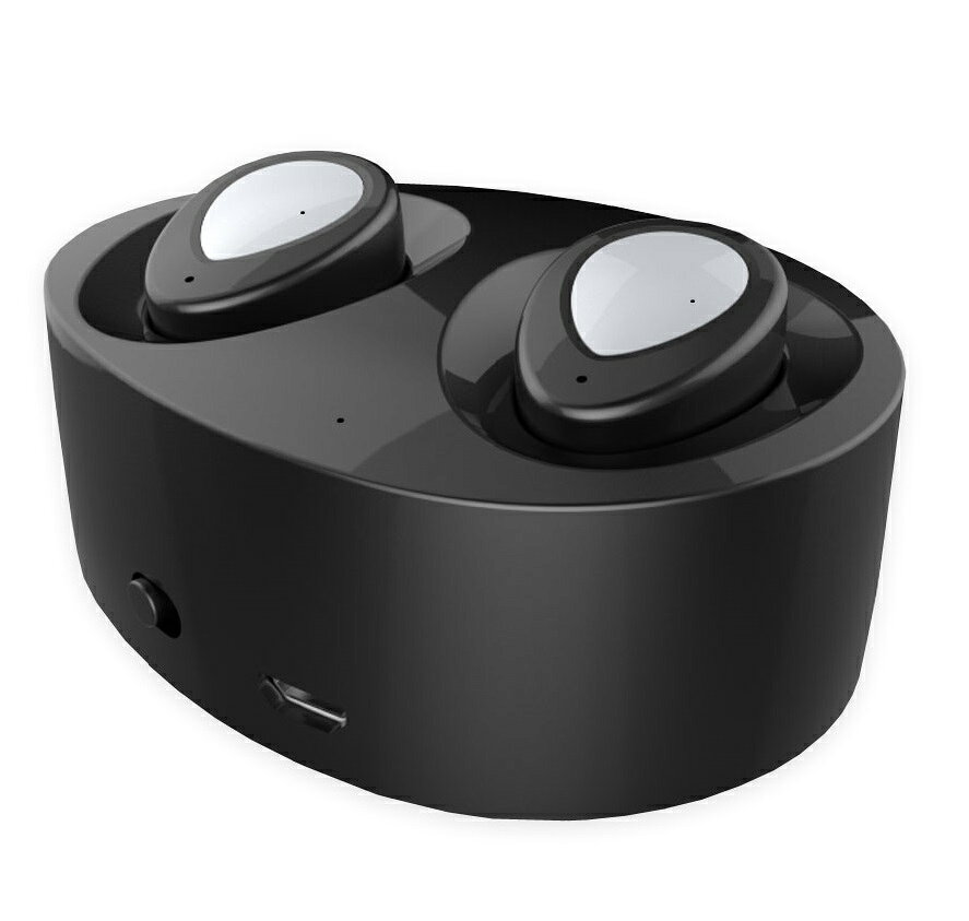 RISE CORPORATION Bluetooth 独立型ワイヤレスイヤホン 充電収納ケース付 カラーブラック/シルバー
