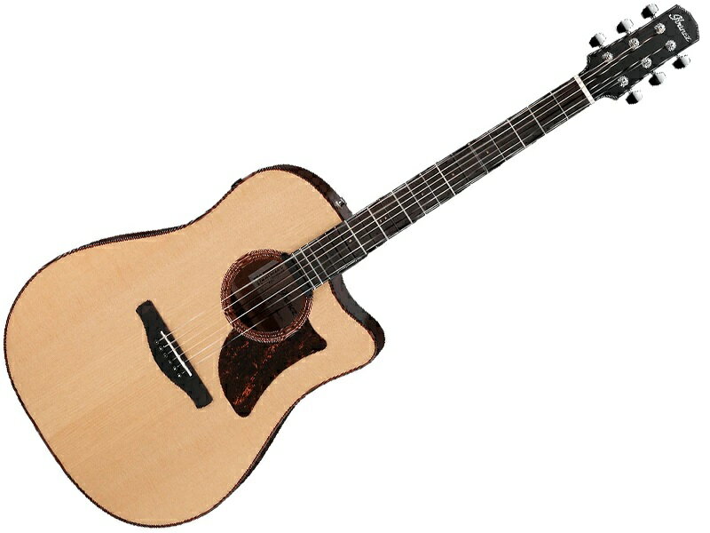 ESPエレアコ [eclipse]　ALFEE坂崎氏サイン入り 楽天市場】イー・エス・ピー ESP 星之助 THE ALFEE 坂崎幸之助
