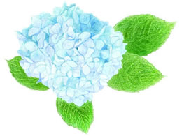 トンボ鉛筆 色鉛筆色辞典セレクトセットA36C CI-RSA36C