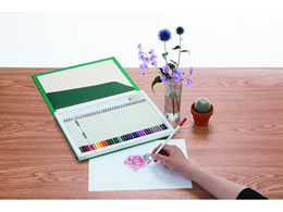 トンボ鉛筆 色鉛筆色辞典セレクトセットA36C CI-RSA36C