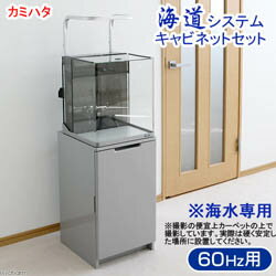 楽天市場】ジェックス GEX グラステリア アグス OF-450 | 価格比較