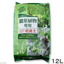 観葉植物専用培養土