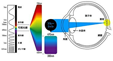 アユート ブルテクター 20-22型 BLC-P2220V-B