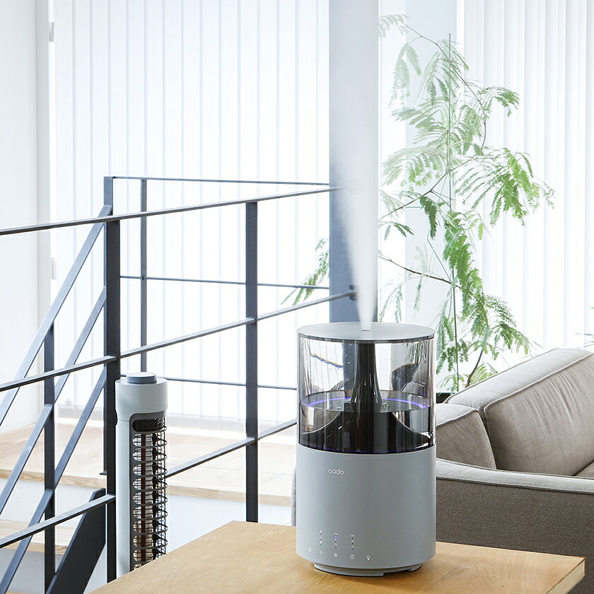 楽天市場】カドー cado 加湿器 HM-C500H クールグレー | 価格比較