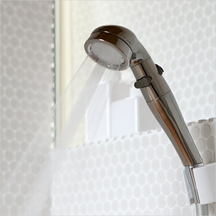 アラミック Arromic 節水シャワープロ・プレミアム