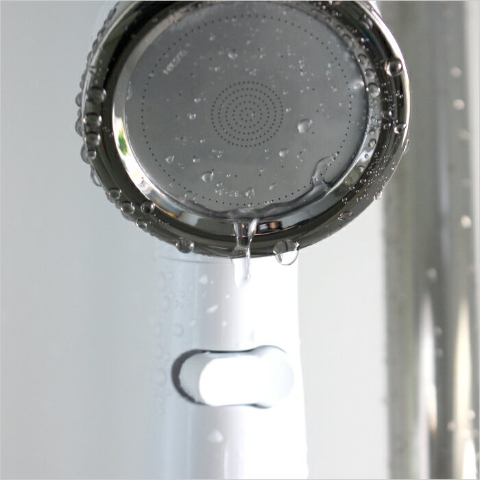 アラミック Arromic 節水シャワープロ・プレミアム