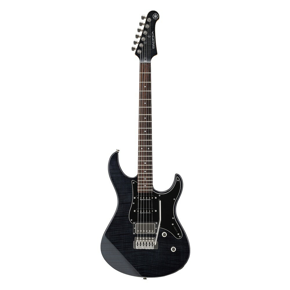 Burny SRLG-55 レスポール トラ目 フェルナンデス 楽天市場】フェルナンデス Burny / バーニー SRLG55/VLD エレキ