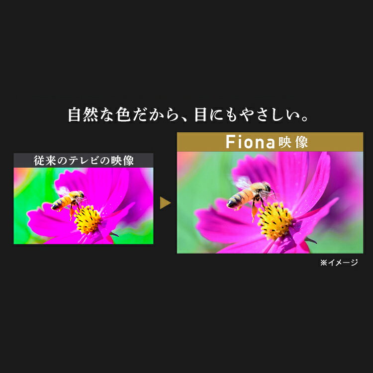 4K対応液晶テレビ 55インチ Fiona 55UB10P 55型 IRIS OHYAMA（アイリスオーヤマ） テレビ 55型 4K対応 液晶 テレビ 55