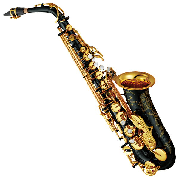 楽天市場】セルバ 初心者向けアルトサックス入門セット ALTOSAX SAS