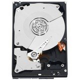 ウェスタンデジタル 内蔵HDD 3.5インチ 1TB WD1001FALS