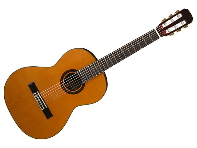 ARIA A-20