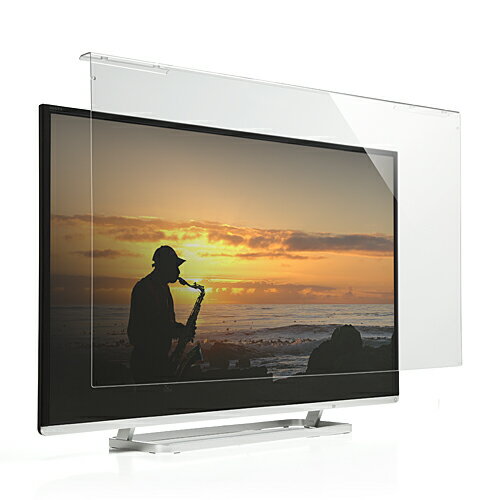 サンワダイレクト 液晶テレビ保護パネル 55インチ　200-CRT018 サンワダイレクト本店 サンワサプライ【オフィス・PC周辺通販】