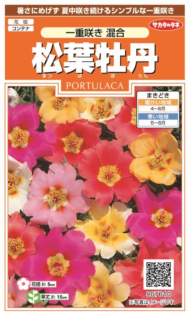 サカタのタネ｜SAKATA SEED CORPORATION 実咲 松葉牡丹 一重咲き混合 907610