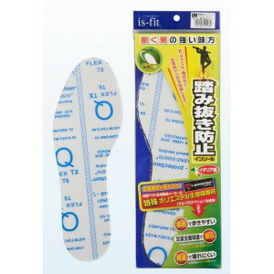 ディック｜DIC ディック M100-2065 踏み抜き防止インソール M