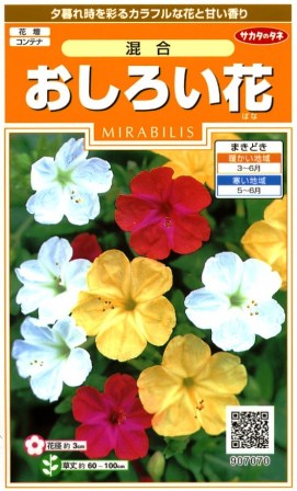 サカタのタネ｜SAKATA SEED CORPORATION 実咲 おしろい花 混合 907070