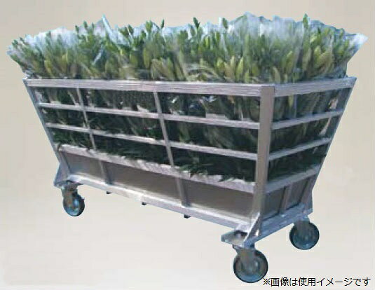 楽天市場】昭和精機工業 昭和精機 愛菜花（あいさいか） PG-10 | 価格