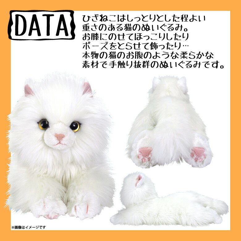 楽天市場】サンレモン ひざねこ ぬいぐるみ（M） ペルシャ WH
