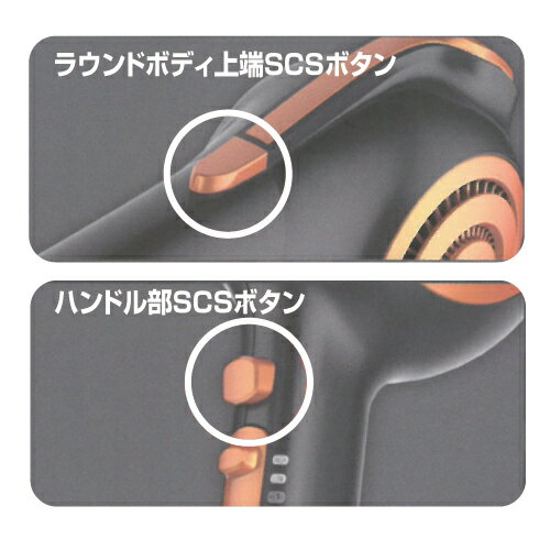 楽天市場】ヘイゼル・トンプソン エレクトロン 復元 ドライヤー
