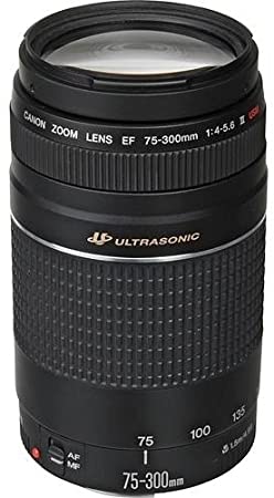 CANON EF 75-300mm F4-5.6