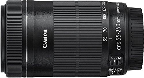 CANON EF-S 55-250mm F4-5.6 IS STM
