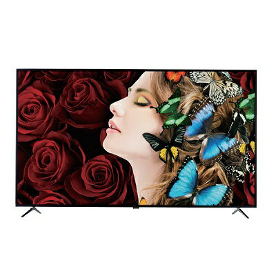 ORION 19型 液晶テレビ OL19WD100 2020年製 ORION 19型液晶テレビ OL19WD100 2020年製