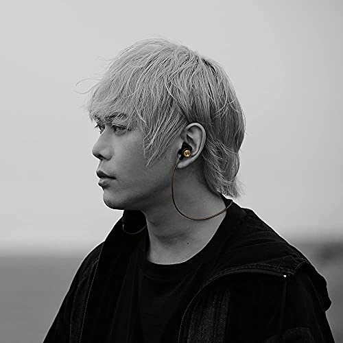 AVIOT トゥルーワイヤレスイヤホン ピエール中野 コラボ第4弾モデル WE-BD21D-PNK