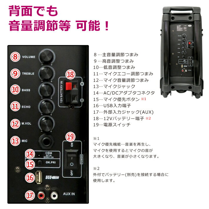 楽天市場】ION AUDIO TAILGATER PLUS | 価格比較 - 商品価格ナビ