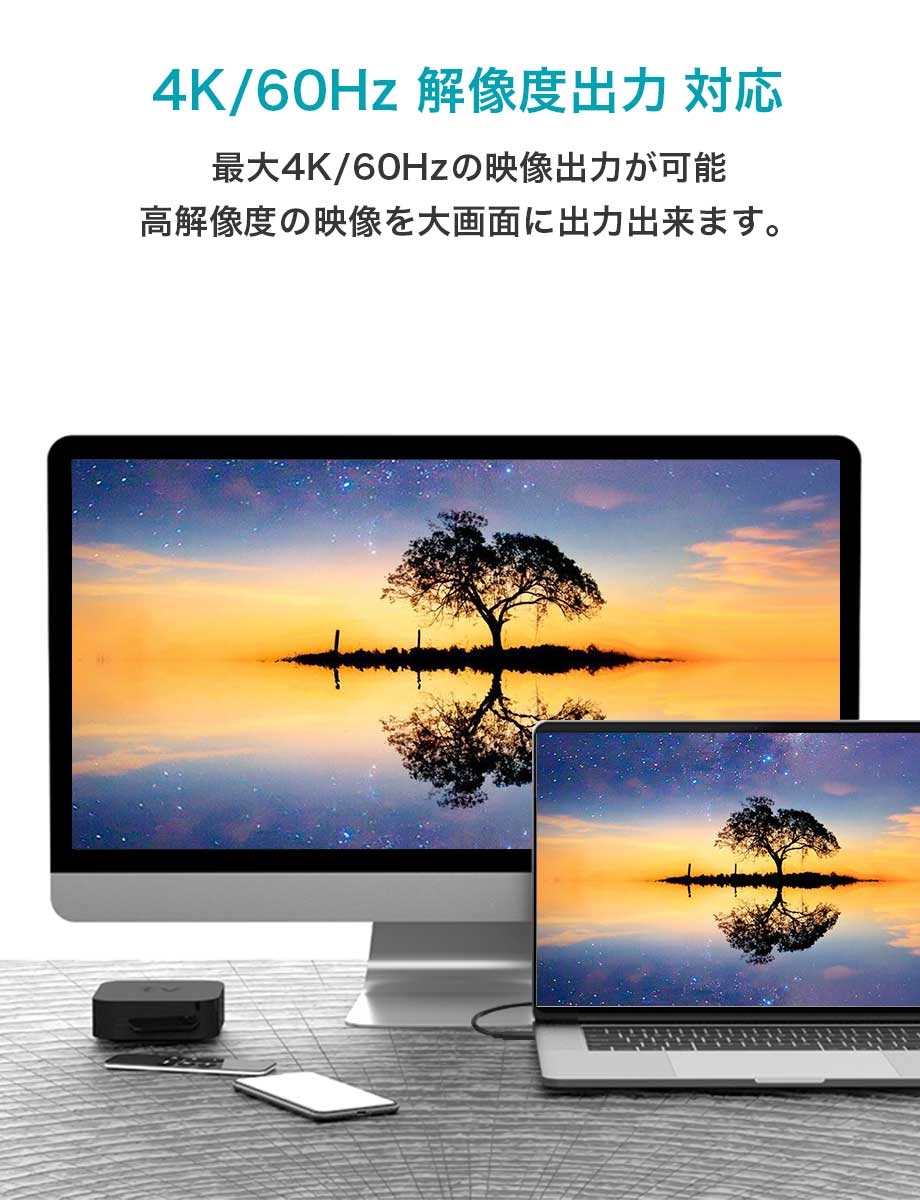 CIO Type-C to Type-C ケーブル ブラック CIO-CCPD100W-1-BK