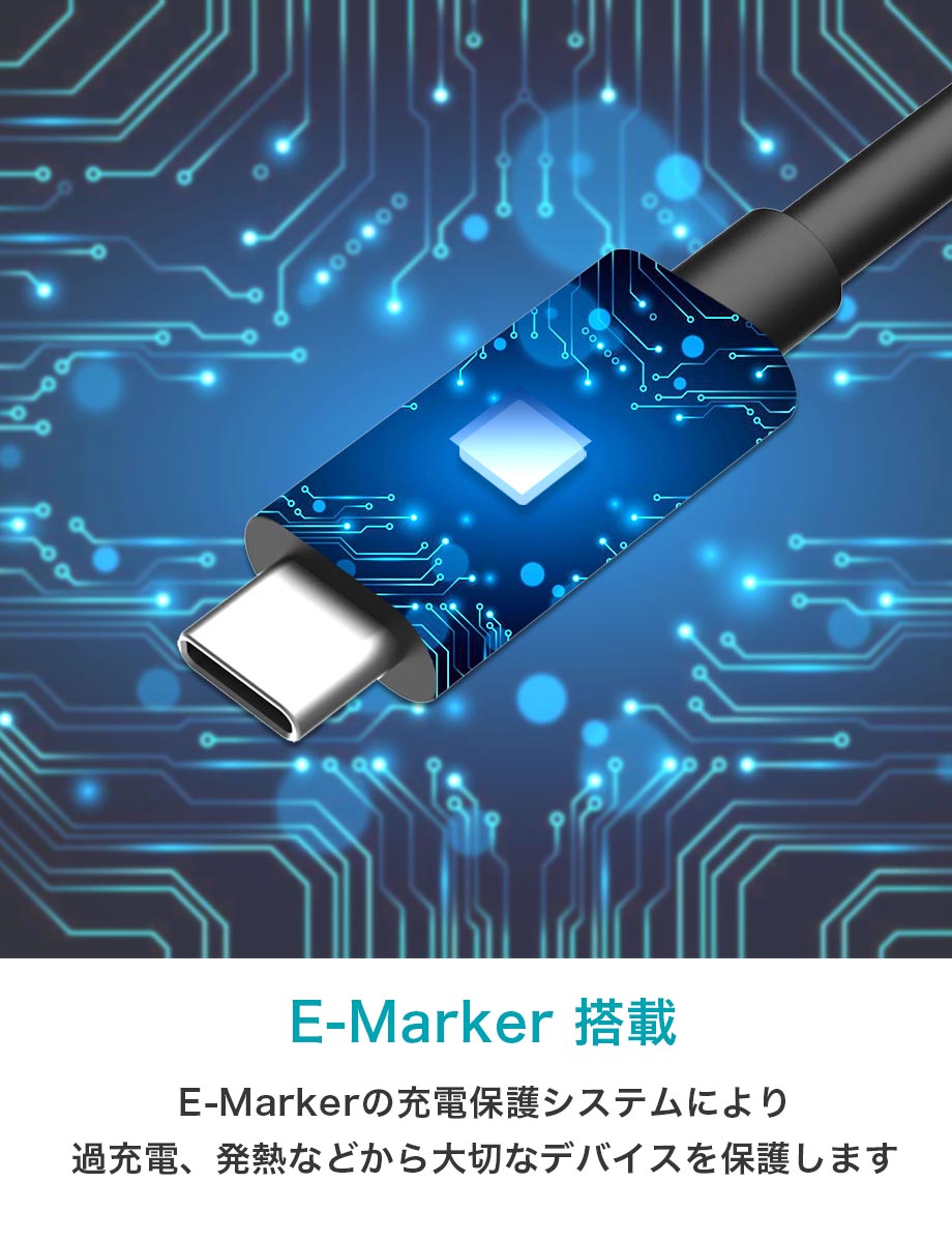 CIO Type-C to Type-C ケーブル ブラック CIO-CCPD100W-1-BK