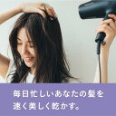 パナソニック EH-NA0G-A