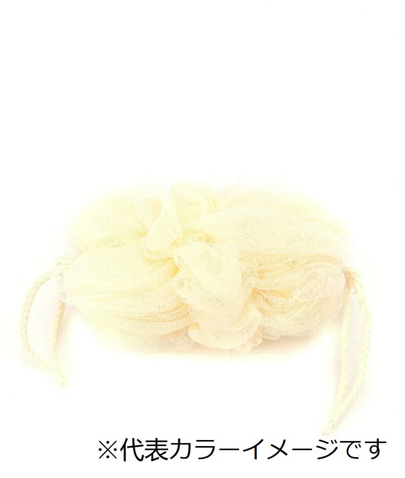 BT バスネット-ノビル