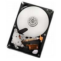 HUA722010CLA330 (1TB SATA300 7200)