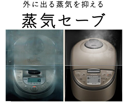 日立グローバルライフソリューションズ RZ-G10EM-T