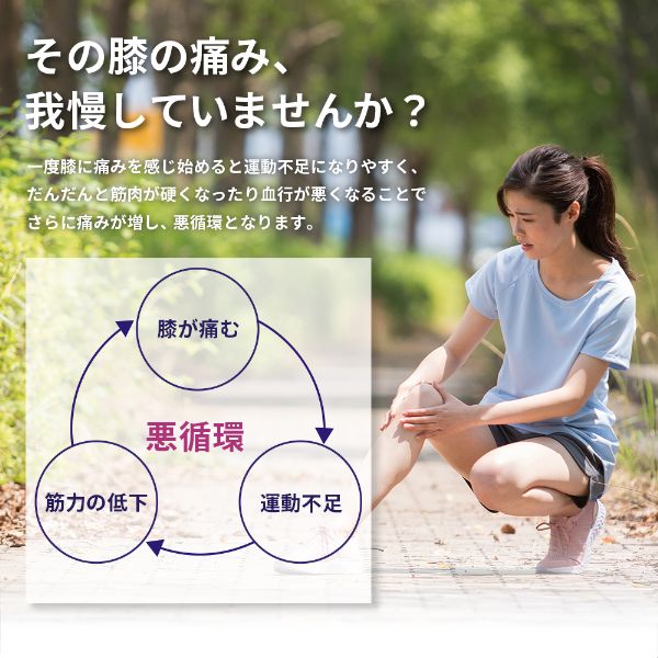 SODA ひざ用低周波治療器 IHP-0210A