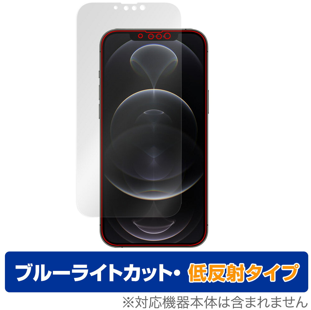 OverLay Eye Protector 低反射 for iPhone 13 Pro Max 表面用保護シート