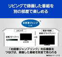 パナソニックオペレーショナルエクセレンス TH-24J300