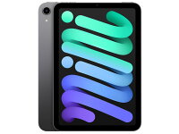 APPLE iPad mini IPAD MINI WI-FI 256GB 2021 GR