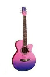 楽天市場】Gypsy Rose(ジプシーローズ) エレクトリックギター・セット