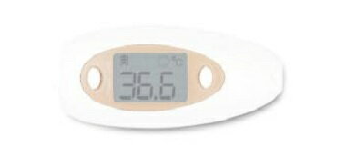 非接触体温計 FLIRSTP-300N