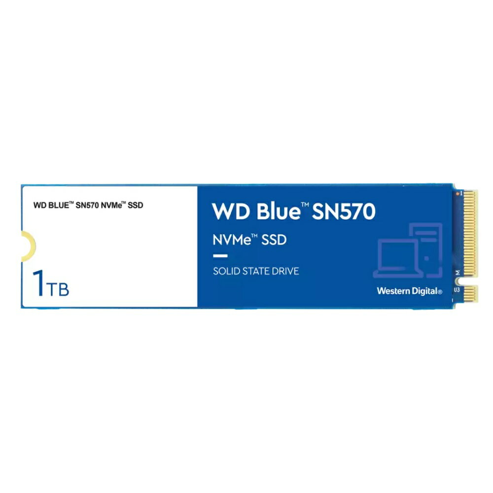 WD M.2 NVMe 内蔵SSD 1TB WDS100T3B0C