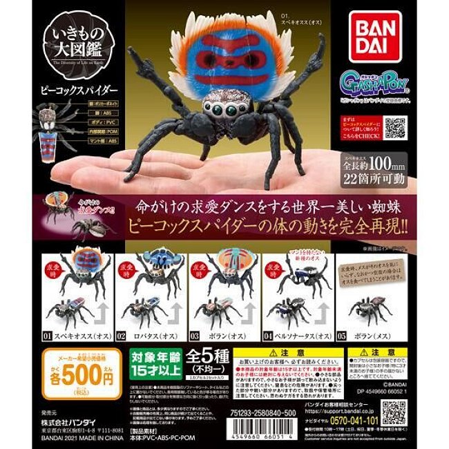 いきもの大図鑑　くわがた02 全4種① Amazon | いきもの大図鑑 くわがた02 [全4種セット(フルコンプ