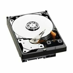 Western Digital 3.5インチ内蔵HDD 500GB SATA/6.0Gb 5400rpm 64MB WD5000AZRX-R