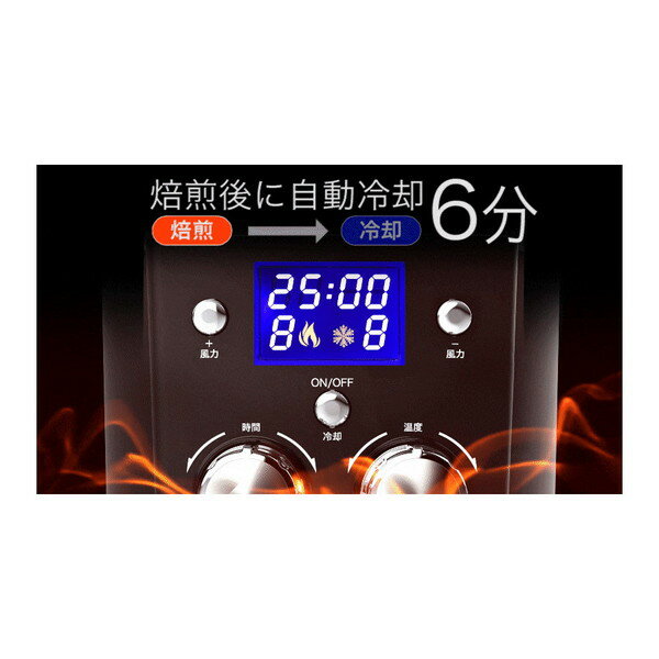 SOUYI JAPAN ソウイジャパン 生豆焙煎機 コーヒーメーカー SY-121N(1個)