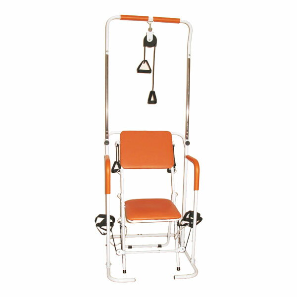 DANNO(ダンノ) マルチホームトレーナー D5698 【リハビリ用品 フィットネス】