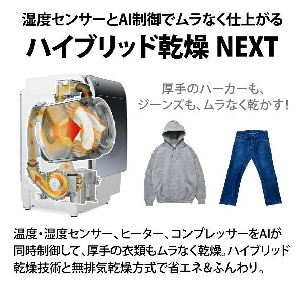 SHARP ES-X11A-SL
