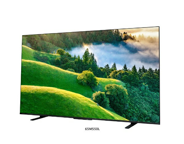 TOSHIBA 65V型 4K液晶テレビ REGZA 65M550L